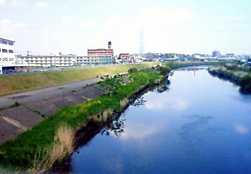 新羽橋201004302